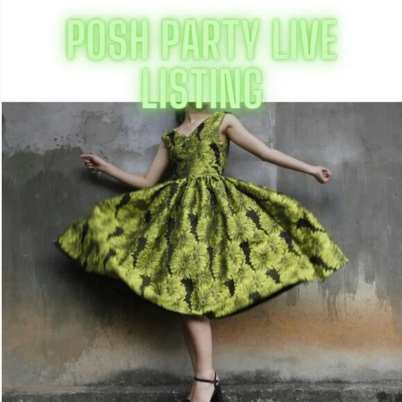 Free People Dresses & Skirts - Posh Show Listing